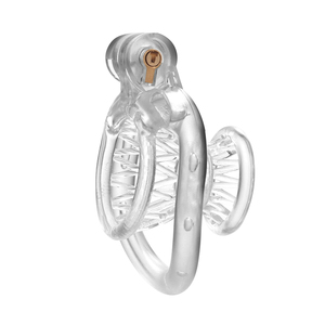 Nouvelle <span class=keywords><strong>cage</strong></span> de <span class=keywords><strong>chasteté</strong></span> masculine 2025, 4 couleurs, <span class=keywords><strong>cage</strong></span> à pénis, contrôle de l'abstinence, verrouillage du pénis sissy avec 4 anneaux de taille différente, produits pour adultes - Product Image 3