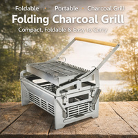 En stock, Gril à charbon de bois détachable en acier inoxydable pour la maison, gril à poisson d'extérieur, grille de barbecue