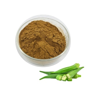 Extrait de plante standard poudre de gombo extrait de gombo pour la nourriture - Product Image 2