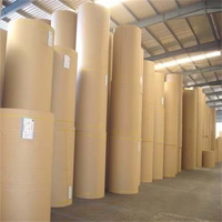 Natural Kraft Paper Virgin Brown Kraft Paper Roll for Kraft Paper Bags