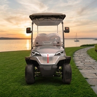 Voiturette de golf électrique de luxe 8 places abordable, tout-terrain, utilitaire, mini-bus électrique de tourisme à vendre