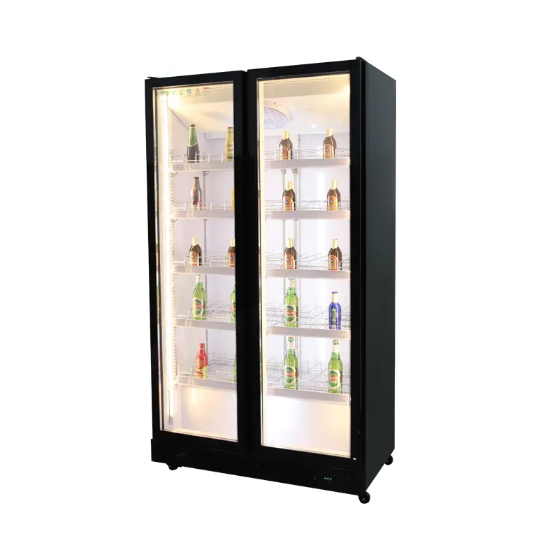 New Design Vertical 2 glass door display freezer showcase