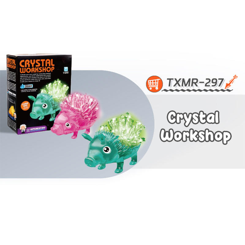 TXMR-300   TXMR-300   TXMR-300