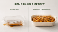 Barquette alimentaire biodégradable en bagasse de canne à sucre 700 ml, conteneur jetable pour la préparation des repas, idéal pour la restauration et les événements.
