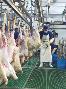 Equipo de matanza de ovejas <span class=keywords><strong>Ritual</strong></span> 1000 línea de matadero Halal de cordero para matadero de cabras - Product Image 5