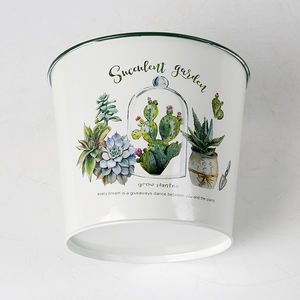 Usine vente directe blanc <span class=keywords><strong>Cactus</strong></span> élément métal Pot de fleur succulente planteur nouveau Style rond conteneur emballage/emballage cadeau - Product Image 5
