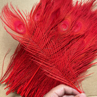 Plumes de paon naturelles de haute qualité en gros, 25-30 cm, pour la décoration de scène, le carnaval, les loisirs créatifs et les ornements de vases
