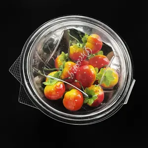Custom Wholesale Clear Disposable PET Salad Bowl With Hinged Lid