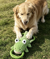Jouet à mâcher en velours côtelé en forme de grenouille, mignon et moderne, durable, interactif, pour l'entraînement des chiens et des chats