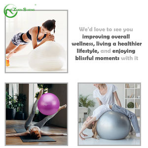 Pelotas de ejercicio de yoga clásicas personalizadas Zhensheng, pelota de Pilates anti ráfaga - Product Image 5