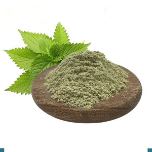 Poudre de feuilles <span class=keywords><strong>d</strong></span>'<span class=keywords><strong>ortie</strong></span> séchées originaire de Chine Qianma ye - Product Image 5