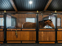 Cadre en acier boîtes d'écuries pour chevaux abri équin permanent équipement pour ferme avec toit accessoires d'écurie pour ferme