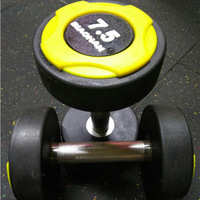 Haltères fixes, accessoires de fitness, équipement de salle de sport à domicile, haltères recouverts de caoutchouc, plaques de poids, haltères en PU