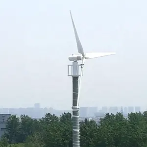 Hochwertige Wohn windkraft anlage 10000W Horizontal achsen generator Pmg Licht maschinen für zu Hause