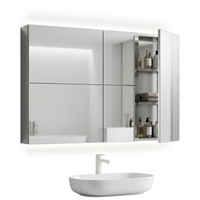 Armoire de salle de bain en acier inoxydable à deux portes avec éclairage LED ambiant inférieur, murale, pour la décoration murale de salle de bain d'appartement