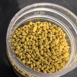 Pólen de Abeja Orgánico de Alta Calidad 100% Natural de Grado Alimenticio, Pólen Puro Natural Mixto a Precio Competitivo - Product Image 5