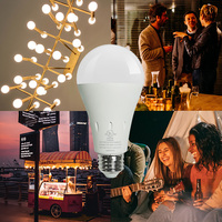 Ampoule LED à piles rechargeables 220V AC 12V DC