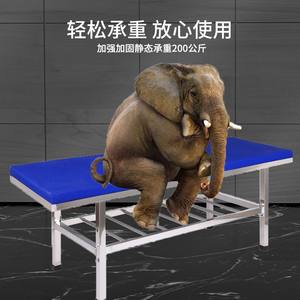 Camas de Masaje de Acero Inoxidable Directas de Fábrica para Baño, Limpieza, Uso Ambulatorio y de Examen, con Función de Elevación de Espalda - Product Image 3