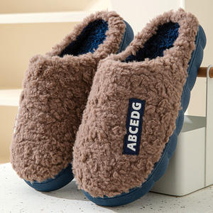 Pantuflas de Felpa para Mujer, 5 Colores, con Logotipo Personalizado, Ligeras, Antideslizantes y Suaves, para Otoño, Venta al Por Mayor de Fábrica - Product Image 5