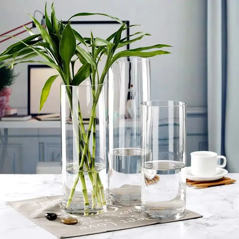 ガラス花瓶水耕透明植物背の高いシリンダー