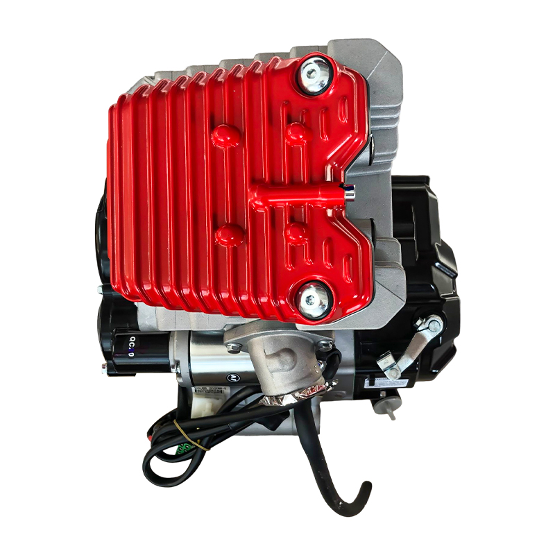 Motorcycle Zongshen 250cc Engine 4-Stroke Air-Cooling