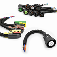 Cablaggio Completo OEM per Scooter a Due Ruote con Rivestimento in PVC