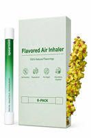 Stylo diffuseur à la menthe verte - Non électrique avec extrait naturel - Pour la purification des poumons et le confort respiratoire
