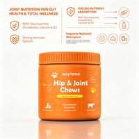 Waylemo Glucosamine pour chiens, complément pour les hanches et les articulations avec chondroïtine, MSM, saveur bœuf et moule à lèvres vertes, 120 comprimés à mâcher