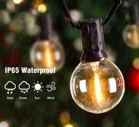 Ampoule LED G40 E12 IP65 étanche et incassable pour remplacement de guirlandes lumineuses, décoration de fêtes, de jardins et extérieurs