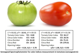 Colorímetro Espectrofotómetro OEM de un Solo Uso, Premium, para Procesamiento de Alimentos, Medición de Color Agrícola, Último Modelo - Product Image 2