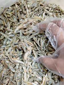 Offre spéciale poisson d'anchois séché au soleil: poisson premium du lotus bleu du Vietnam fruits de mer poisson d'anchois séché - Product Image 6