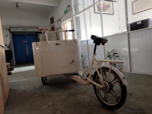 Controlador Digital de Batería para Panel Solar, Congelador para Triciclo de Helados, Hecho en China, Triciclo para Carga - Product Image 3