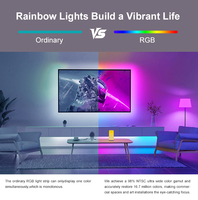 Tira de Luces LED con Batería AA, 5V 5050, Impermeable, RGB, Flexible, USB, Regulable, Luz de Fondo para TV, Luz de Acento, Control Remoto IR