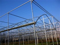 Serre agricole multi-chapelles à double couche, grande taille, à faible coût, en stock, pour projets clés en main d'hydroponie de tomates, en acier et film.
