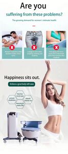 Multi-Functional Happy Throne Genital Rejuvenation Machine-38-41°C Mucosal Temperature Customizable Logo Multi-Language Support - Product Image 2