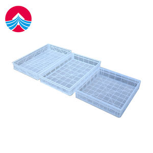 Boîte d'élevage de poussins épaissie avec filet, bac de congélation pour aliments frais épaissi, grand panier d'éclosion de volaille - Product Image 2