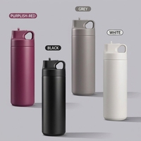 Bouteille d'eau isotherme sous vide en acier inoxydable de 500 ml, personnalisée, anti-fuite, à double paroi, pour le sport et le fitness, avec paille