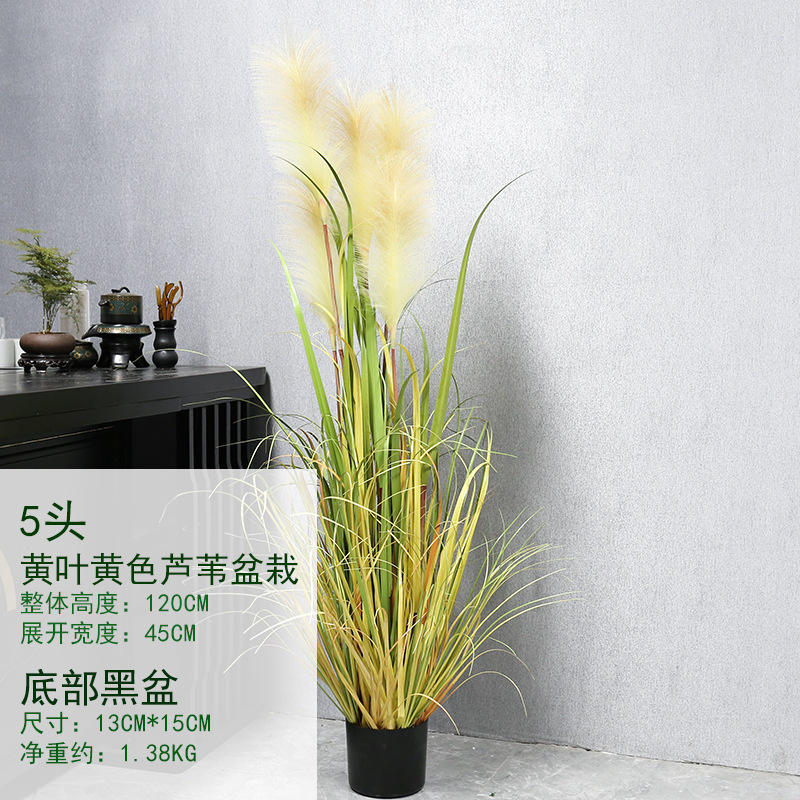 กระถางกกใบไม้สีเหลืองขนาด120ซม.