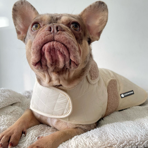 سترة كلاب مبطنة من القطن مع شعار مخصص، مقاس قابل للتعديل، بطانة شيربا تنفس، معطف كلاب قابل للتعديل، هودي للكلاب من نوع الداشهند - Product Image 2