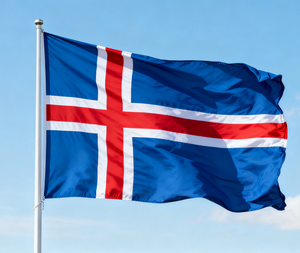 Vlag Fabrikant Relatiegeschenk Reclame Vlag Maatwerk 3X5 Voet Custom Vlag Bedrijfsevenement Alle Nationale Vlaggen - Product Image 4