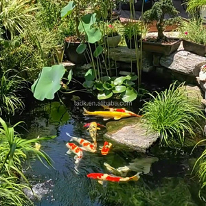 Membrane en caoutchouc <span class=keywords><strong>EPDM</strong></span> imperméable, résistante aux UV, écologique, pour toiture de <span class=keywords><strong>terrasse</strong></span> en bois et béton - Product Image 1