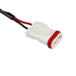Grosir bersertifikat CCC khusus 2-Pin konektor kawat otomatis Harness kabel listrik & kabel ekstensi