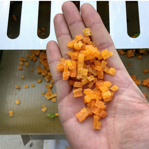 Machine automatique motorisée pour couper, trancher, hacher et dicer les pommes de terre, les carottes, les mangues, les pommes et les fruits, tension 220V/380V/110V, 1.5KW - Product Image 1