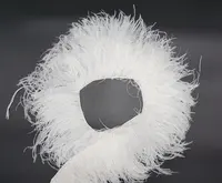 डाई प्राकृतिक सफेद रंग 15-18 Cm 2 प्लाई शुतुरमुर्ग पंख फ्रिंज Trims पर कॉर्ड के लिए पंख पोशाक कपड़े