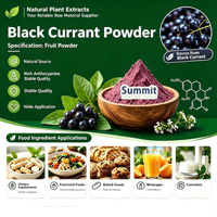 Bubuk Blackcurrant Pewarna Makanan Alami Larut dalam Air Bubuk Buah Ungu Merah untuk Minuman, Kue, Kembang Gula, Selai