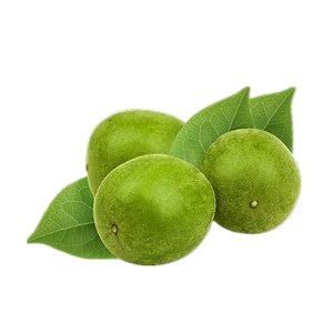 Biologische Suiker Subsittute Monnik Fruit <span class=keywords><strong>Extract</strong></span> 30% Mogroside V Luo Han Fruit <span class=keywords><strong>Extract</strong></span> Poeder - Product Image 6