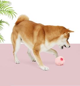 2022 Nieuwe Interactieve Roze Latex Scheet Hond Speelgoed Zacht Geluid Huisdier Piepen Speelgoed Grappig Speelgoed Voor Honden - Product Image 5