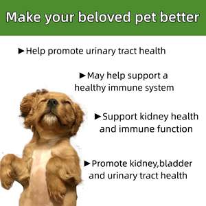 Aliment liquide immunitaire pour allergies chez les chiens, supplément en gouttes, soutient une digestion saine et protège le système immunitaire contre les allergies - Product Image 4