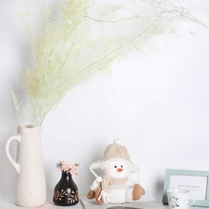 Matériaux d'artisanat de haute qualité, feuilles de fougère Ming séchées, fougère d'<span class=keywords><strong>asperge</strong></span> naturelle conservée pour la décoration de mariage - Product Image 2