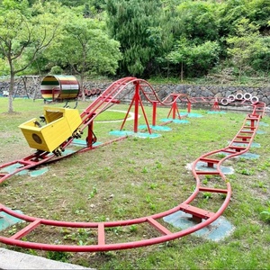 Montaña Rusa de Pedales para Exteriores, Sin Motor, para Parques de Diversiones, Interactiva, Impulsada por la Energía Humana - Product Image 4